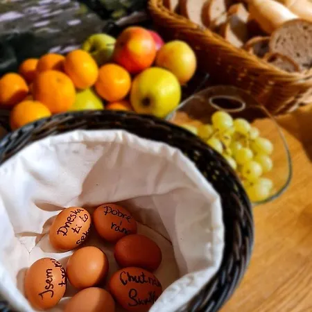 Restaurace A Pod Lipami 招待所